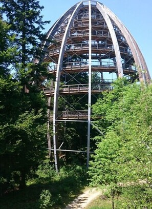 A large, multi-level wooden structure with a dome-like roof, surrounded by dense greenery and a dirt path. - Mitterdorf Modern Retreat (Philippsreut)