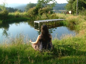 House | Property grounds - Mitterdorf Modern Retreat (Philippsreut)