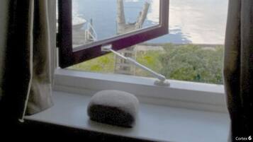 House | View from property