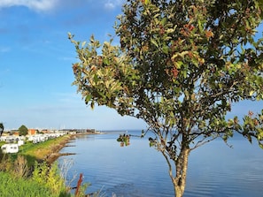 A tree-lined lakeside view with a row of RVs parked along the shore. - 6 Person Holiday Park Home in Bogense (Bogense)