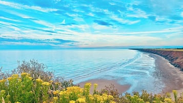 Playa en los alrededores