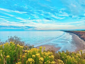 A coastal landscape with a sandy beach, clear blue sky, and distant horizon.