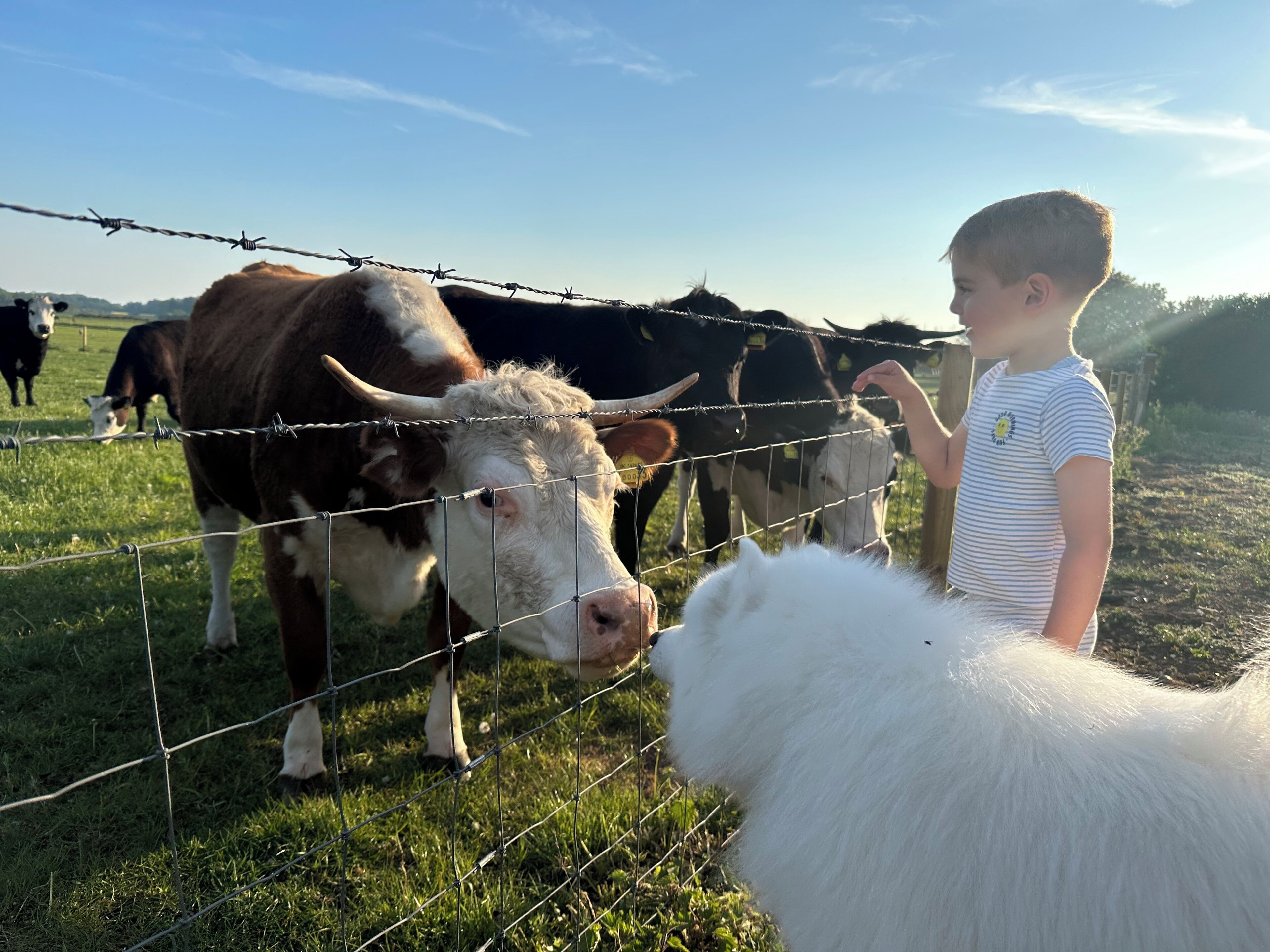 Miscellaneous