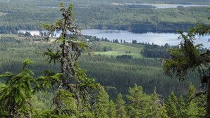 A mountainous landscape with a lake and dense forest. - 4 Person Holiday Home in Torsby (Torsby)