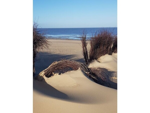 Beach - Cux Dreams in Haus Nautic, sea View (Cuxhaven)