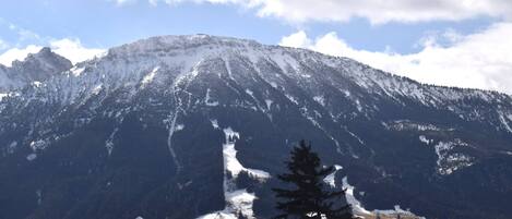 House | Miscellaneous