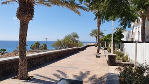 Une promenade en bord de mer, bordée de palmiers et d’un mur de pierre, qui mène à une plage.