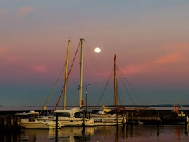 Un puerto deportivo con barcos amarrados, cielo despejado y una luna visible.