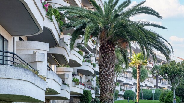 Un bâtiment moderne doté de nombreux balcons, dont certains sont ornés de plantes et de fleurs.