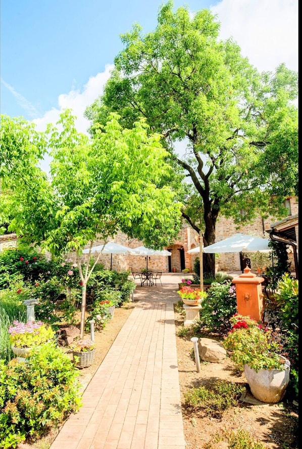 House | Garden