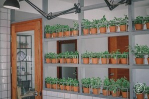 A room with a shelving unit holding multiple potted plants, a door with a glass panel, and a wall-mounted lamp. - Oon Poshtel X Cafe (Chiang Mai)