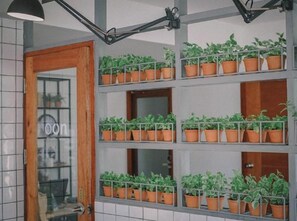 Interior - Oon Poshtel X Cafe (Chiang Mai)