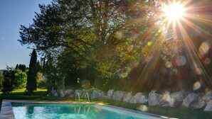 A swimming pool with clear water, surrounded by a stone wall and trees, under a bright sun. - Holiday Home Scharzwald (Feldberg)
