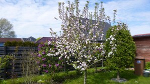 A garden with a flowering tree, a small tree, and a fence. - Holiday Apartment Gerdes (Wangerland)