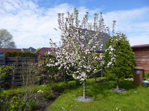 Stroll through the beautifully maintained garden, surrounded by vibrant flowering plants and a majestic tree with white blossoms.