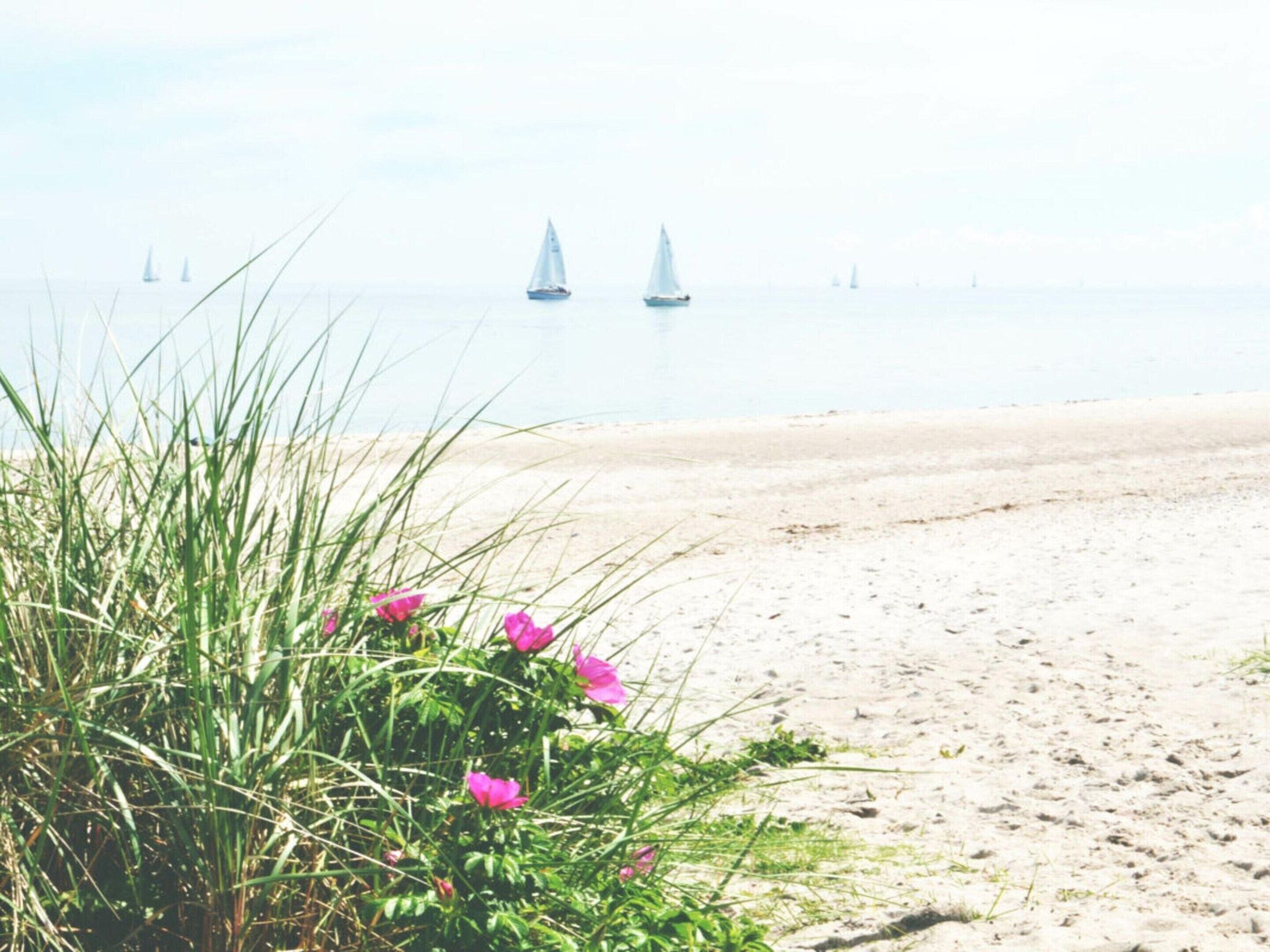A beach with sand and grass, and two sailboats in the distance.