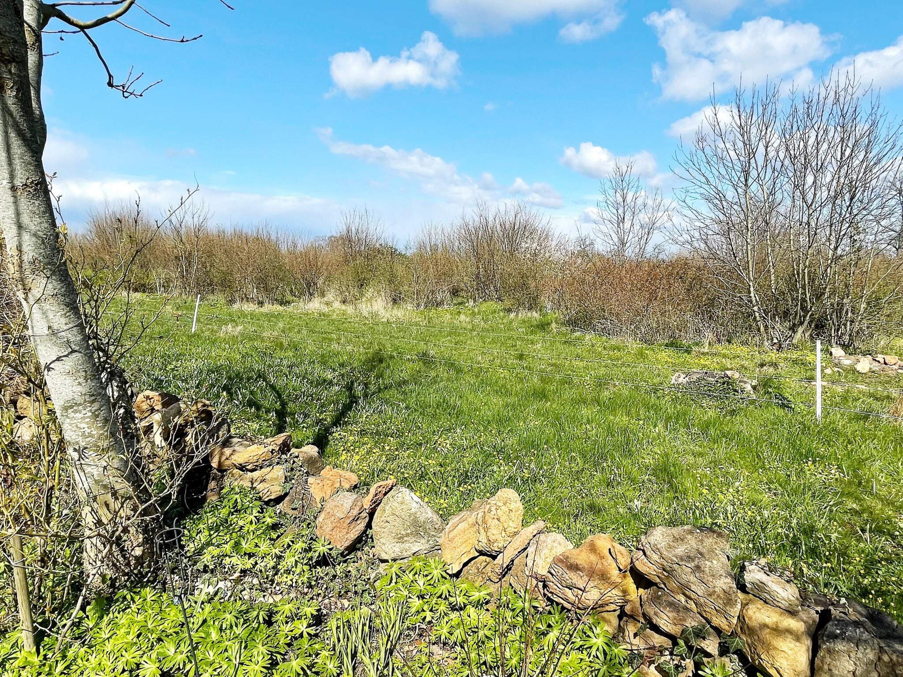 A natural landscape with a stone wall, grassy field, and trees.