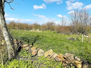 A natural landscape with a stone wall, grassy field, and trees. - 4 Star Holiday Home in Farjestaden (Farjestaden)