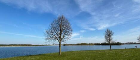 A grassy area with two leafless trees and a calm lake under a clear sky.