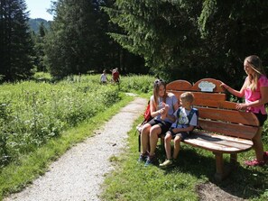 Situated along a gravel path, this bench invites relaxation in a serene natural setting.