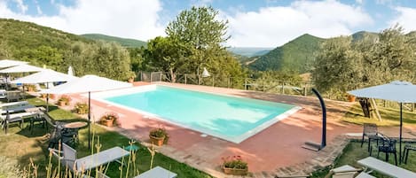House | Pool | Outdoor pool