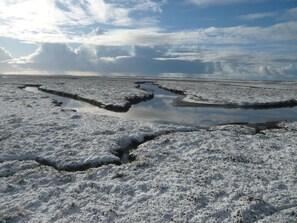A salt flat landscape with reflective pools and a cloudy sky.