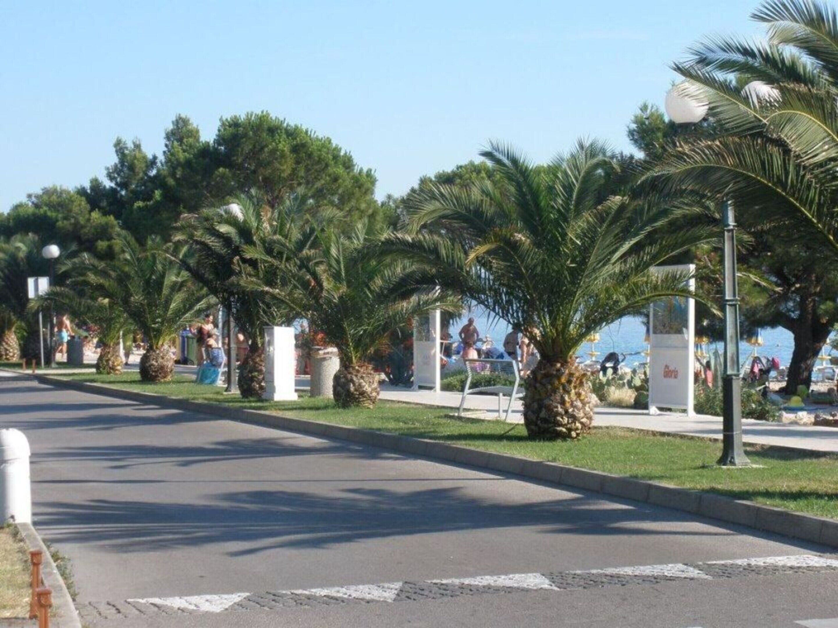 A coastal promenade lined with palm trees and a beach in the background.