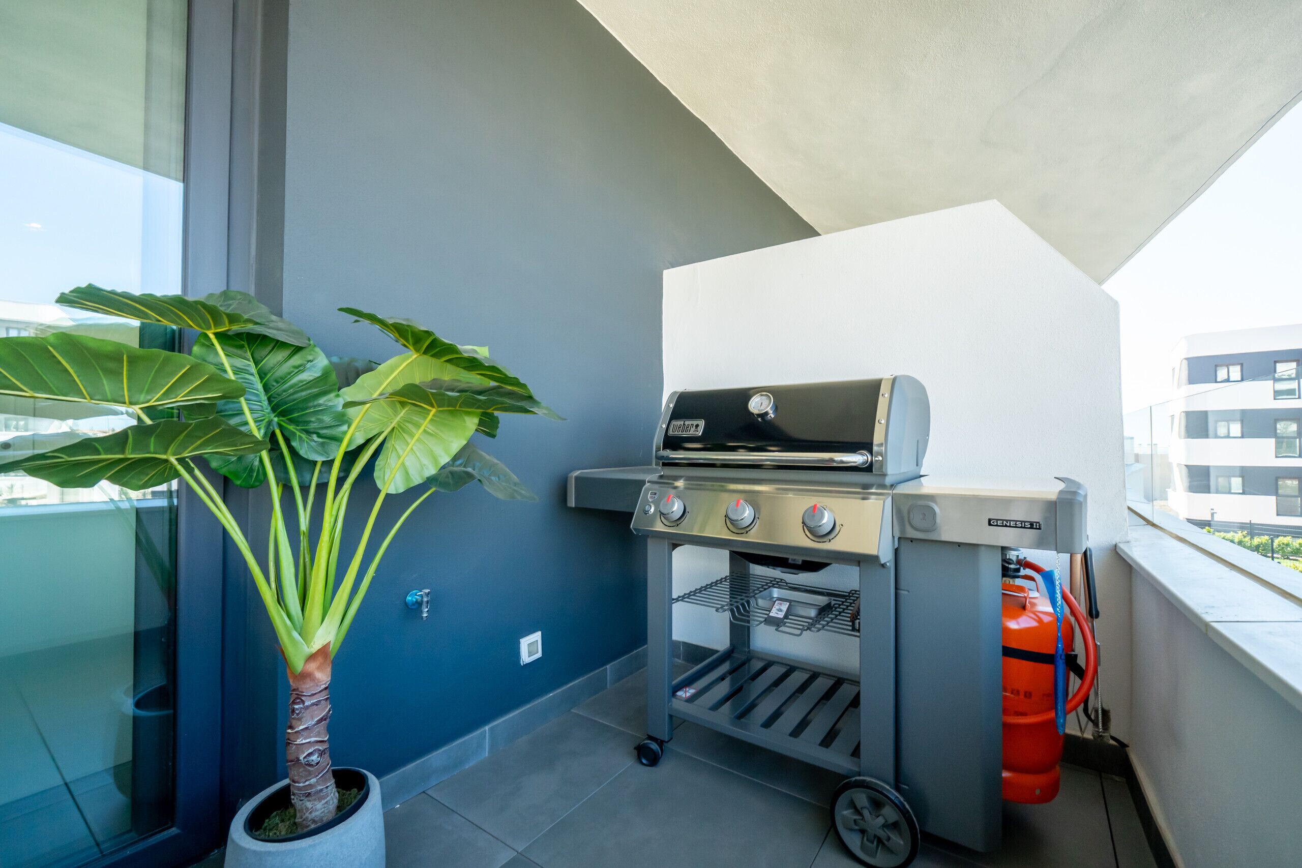 Terrein van de accommodatie