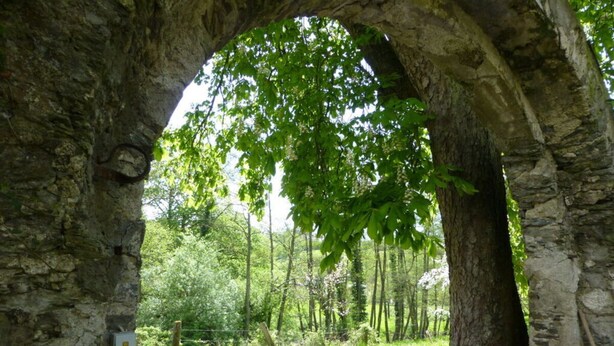 A stone archway with a road passing through it, surrounded by greenery and trees. - Holiday Apartment Garden Paradise (Urbar)