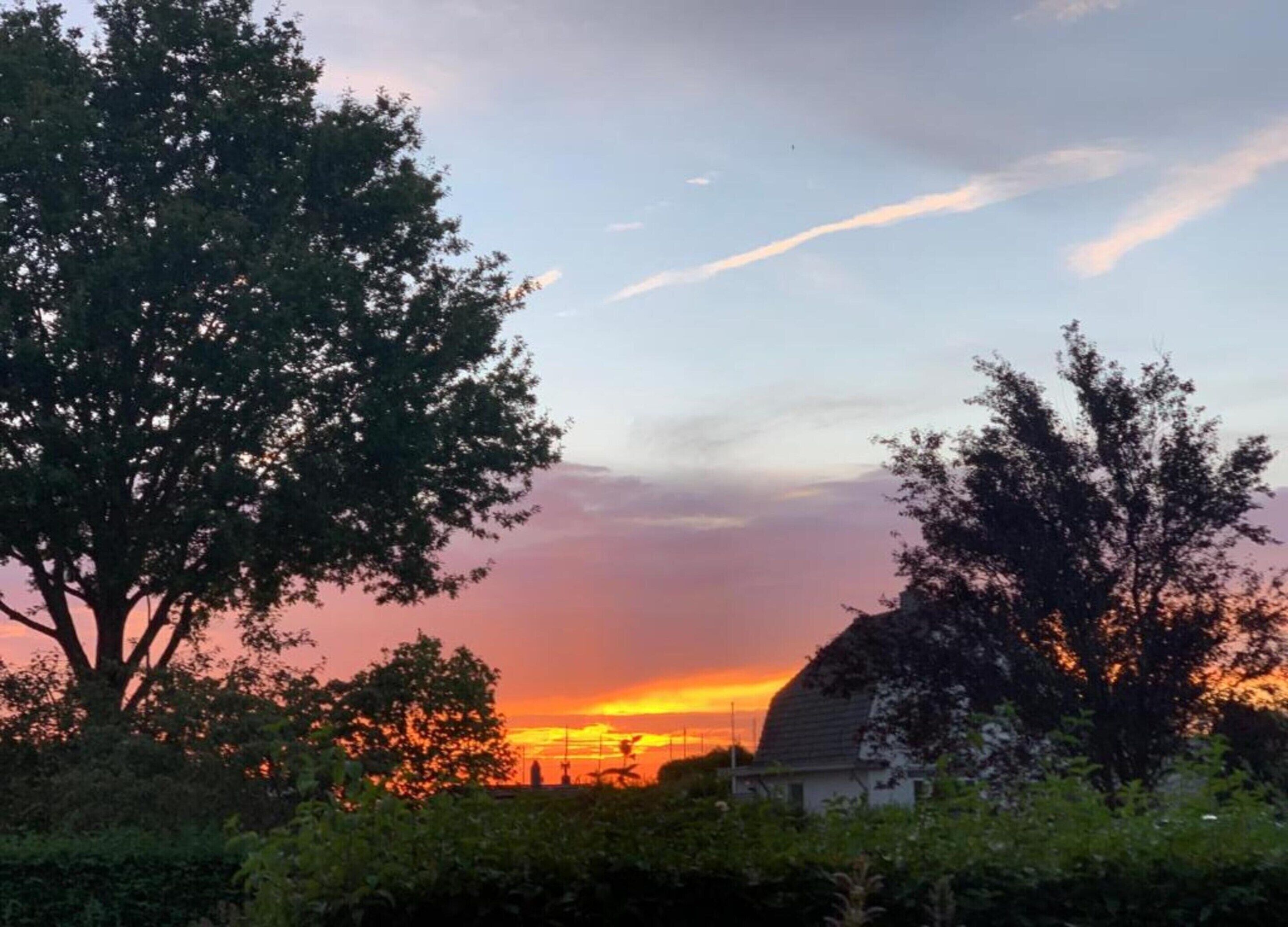 Une vue au coucher du soleil, avec des arbres et un bâtiment au premier plan.