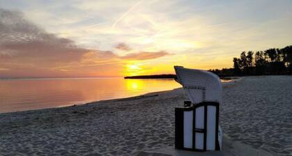 Waldhaus No.15 Modern Retreat