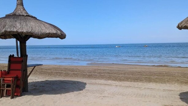 Ein Strand mit Reetdachschirmen und roten Liegestühlen.