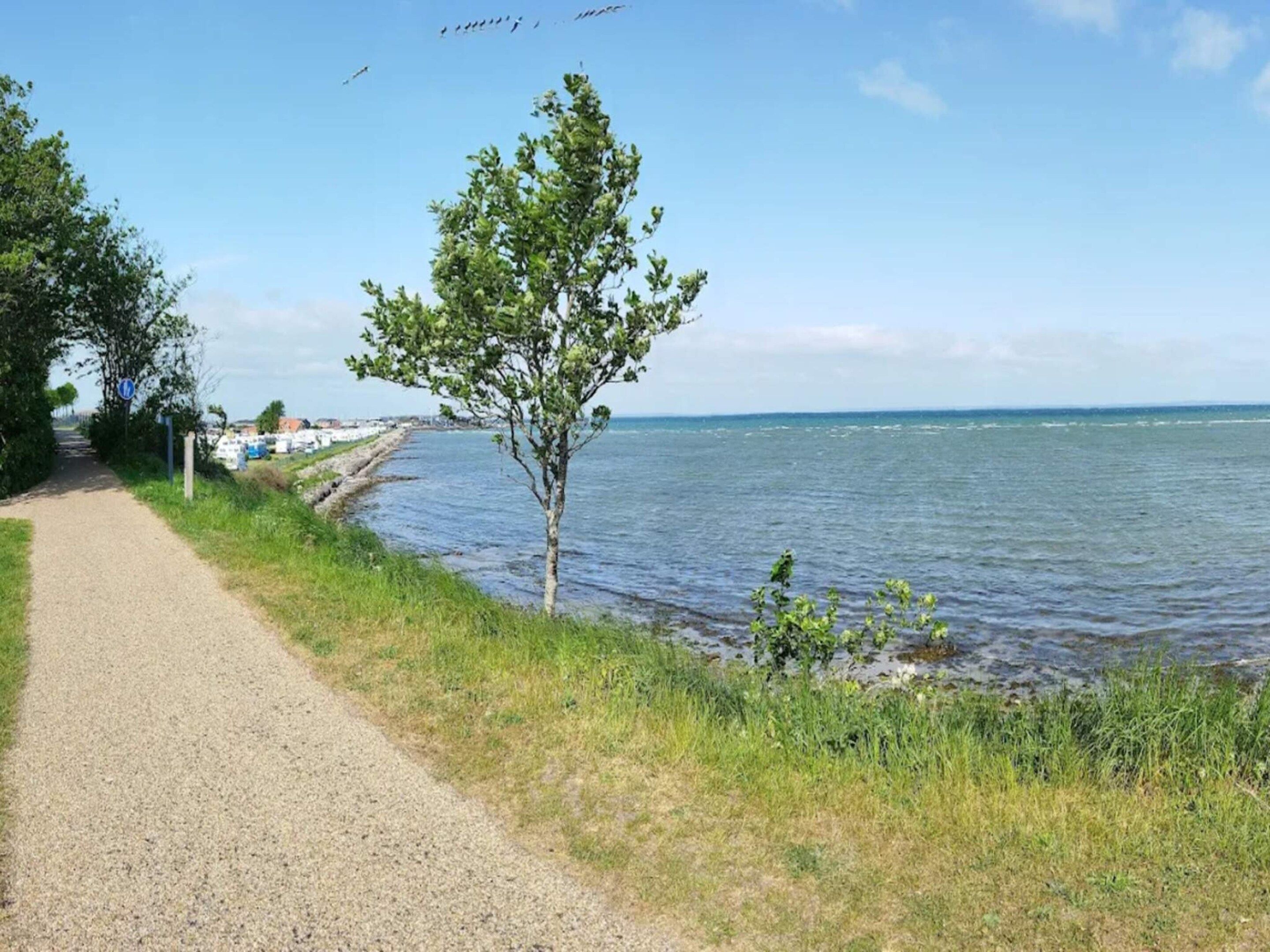 A gravel path beside a body of water, a tree, and a distant shoreline with buildings.