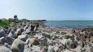A rocky beach with large boulders and sparse vegetation.
