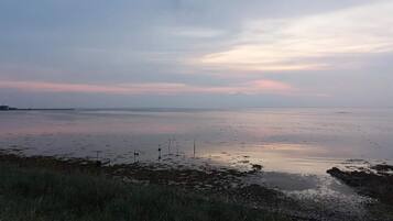 A coastal landscape with a calm sea, grassy foreground, and a distant shoreline.