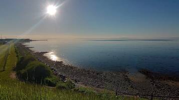 A coastal landscape with a clear sky, a calm sea, and a grassy area with a fence.