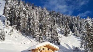 A wooden cabin with a sloped roof, surrounded by snow-covered trees and a clear blue sky. - Hackihutte Mountain hut (Rangersdorf)