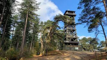A tall wooden tower structure surrounded by dense forest.