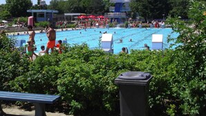A public swimming pool with multiple lanes, surrounded by greenery and a clock tower in the background.