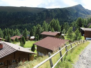 A rural mountain village with wooden houses and a dirt road. - Wiesbachhutte Mountain hut (Reichenau)