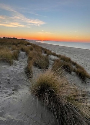 A beach with sand dunes and grass. - Noordzeeboulevard 51 (Kamperland)