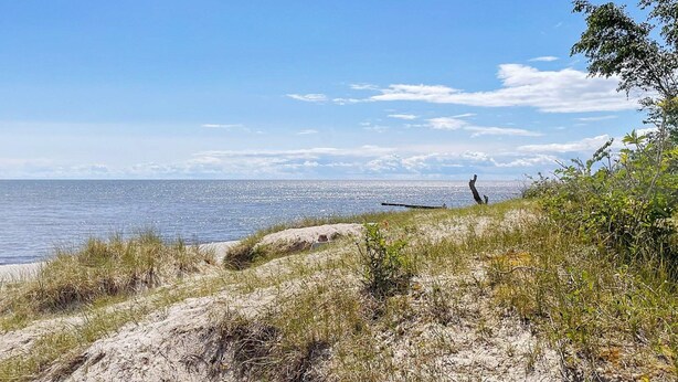 Un paysage côtier avec une plage de sable, des dunes herbeuses et une vue dégagée sur la mer.