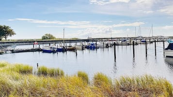 Huis | Terrein van de accommodatie