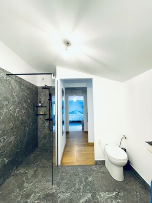 Shower, hair dryer, towels, soap