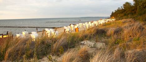 Apartment | View from property