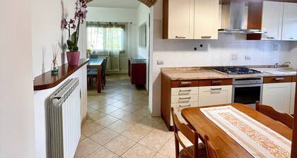 Cherry tree apartment