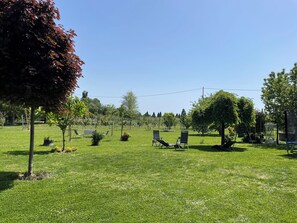 Terrain de l’hébergement 