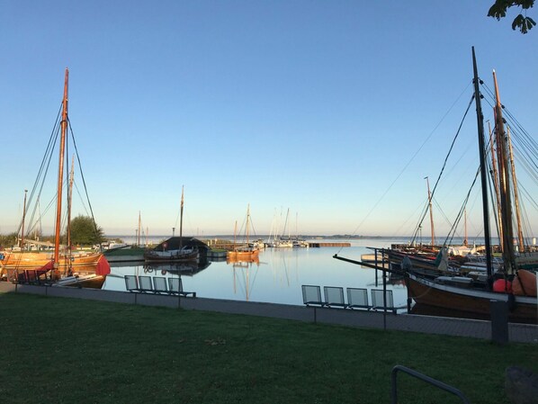 Vista desde la propiedad