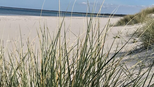 A beach with sand and grass in the foreground, and a clear sky in the background. - Inviting Apartment in Pruchten With Garden (Pruchten)