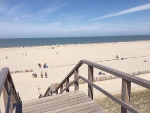 A wooden staircase leading to a sandy beach with a clear sky. - 1 From Fam. Moritz Koopman (Petten)